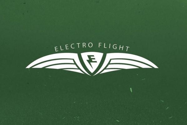Electro Flight